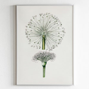Vintage Botanische Drucke Download, Vintage Botanisches Poster, Botanischer Kräuterdruck, Digitaldruckbare Wandkunst, Retro Garten Poster