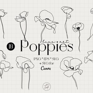 Mohnblumen svg floral Linie Clipart, Mohn Clipart svg für Canva eine Linie Zeichnung, beliebte svg-Dateien für Cricut kommerzielle Lizenz Png, Eps