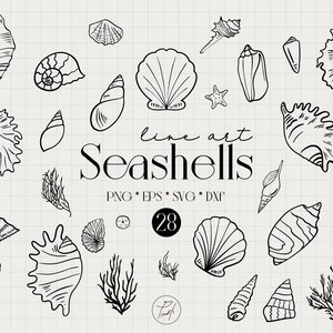 May include: A set of 28 black and white line art illustrations of seashells. The illustrations include various types of seashells, including conch shells, scallop shells, and clam shells. The text "line art Seashells" is written in a decorative font at the bottom of the image. The text "PNG * EPS * SVG * DXF" is written below the title. The number 28 is written in a circle below the text.