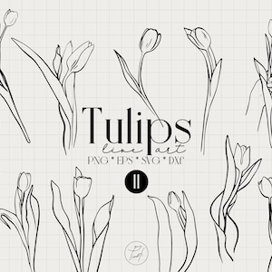 Tulip svg one line drawing, spring svg, flowers svg, popular svg files for cricut commercial license Png, Eps, Dxf