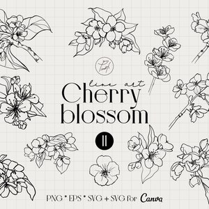 Kirschblüte svg Linie Clipart, Sakura svg eine Linie Zeichnung, beliebte svg-Dateien für Cricut kommerzielle Lizenz png, eps für Canva