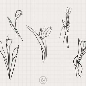 Tulip Svg One Line Drawing Spring Svg Flowers Svg Popular - Etsy