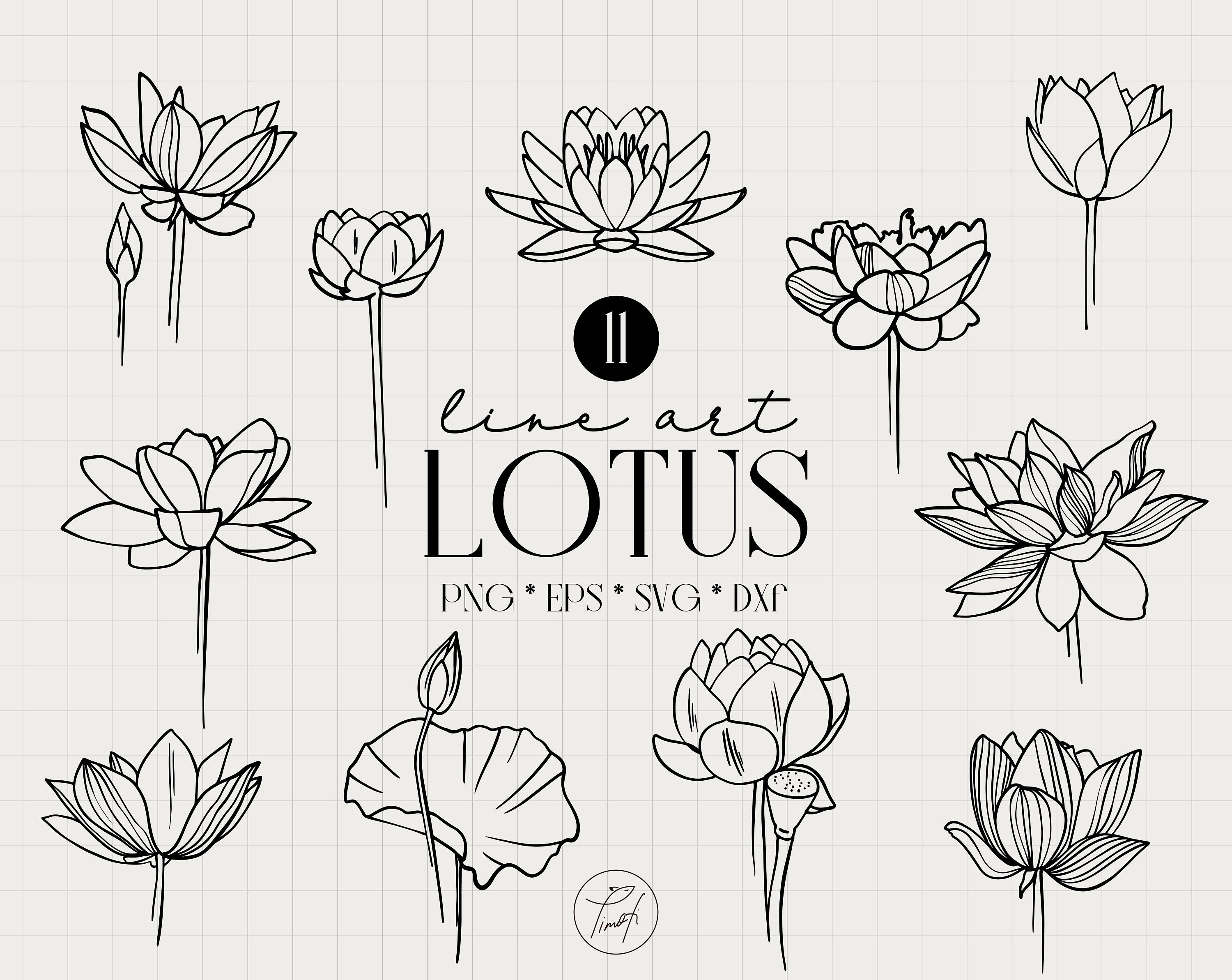 Line Drawing Lotus Flower