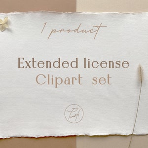 Extended license for 1 Clipart set, Commercial License by TimofiArt