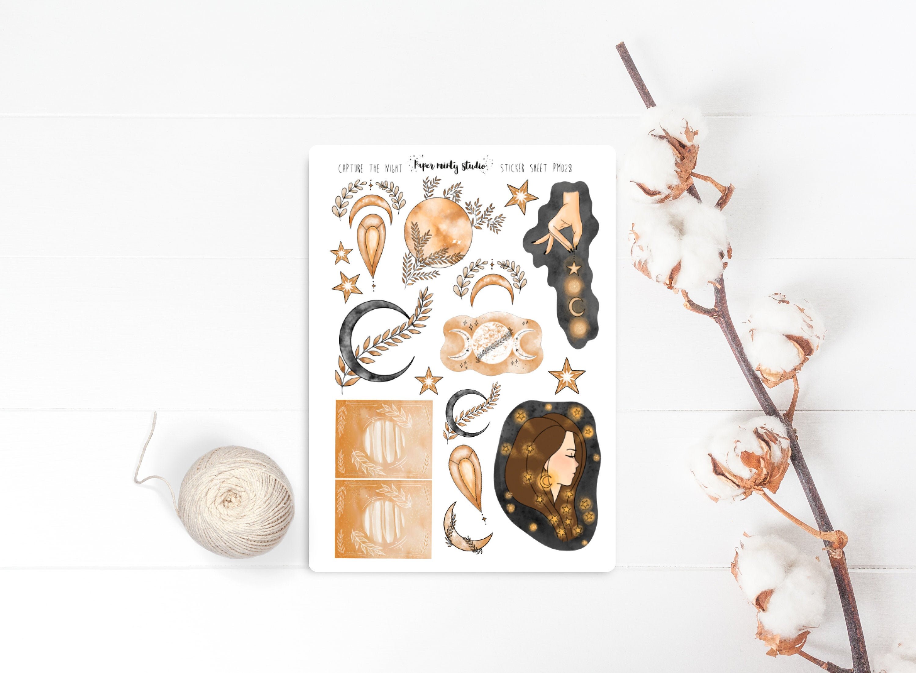 Capture the Night Sticker Sheet, Bujo Stickers, Planner Stickers, Bul…