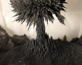 High Quality 3.5 OUNCES LIGHT WORKER Magnetite Magnetic Black Sand  