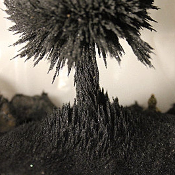 Very Fine (Magnetite) DIY Orgonite sand Highest Quality lodestone food Orgone Magnetic Sand