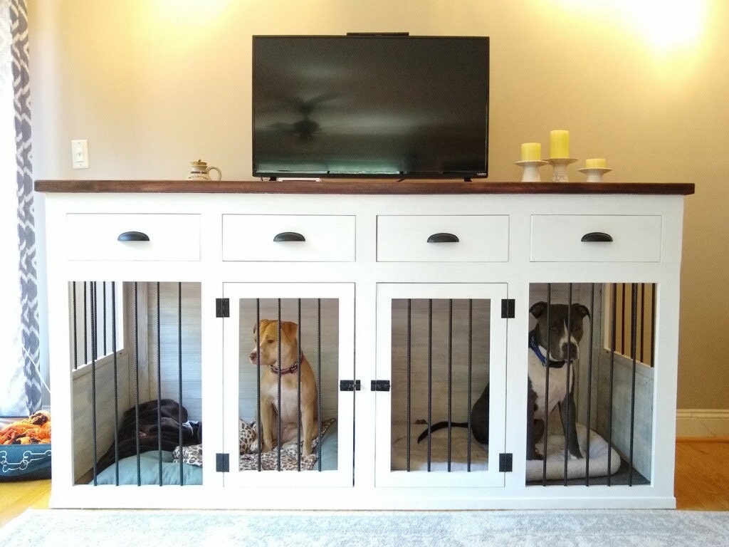 bed for dog Money Experiment