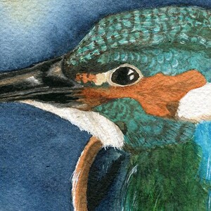 Kingfisher Watercolor Print image 3