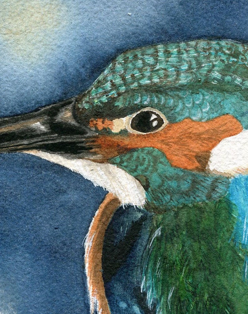 Kingfisher Watercolor Print image 3