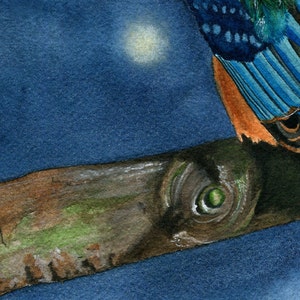 Kingfisher Watercolor Print image 2