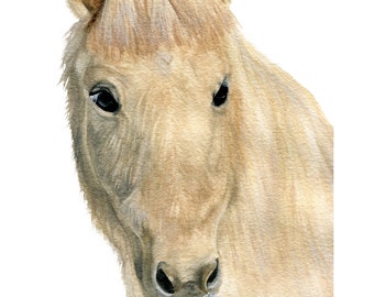 Icelandic Watercolor Horse, Watercolor Print