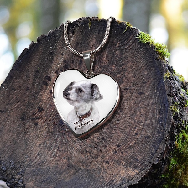 Dog Picture Necklace, Pet Photo Necklace, Custom Pet Necklace, Dog Heart Necklace Personalized Dog Necklace Pet Memorial Gift Pet Lover Gift