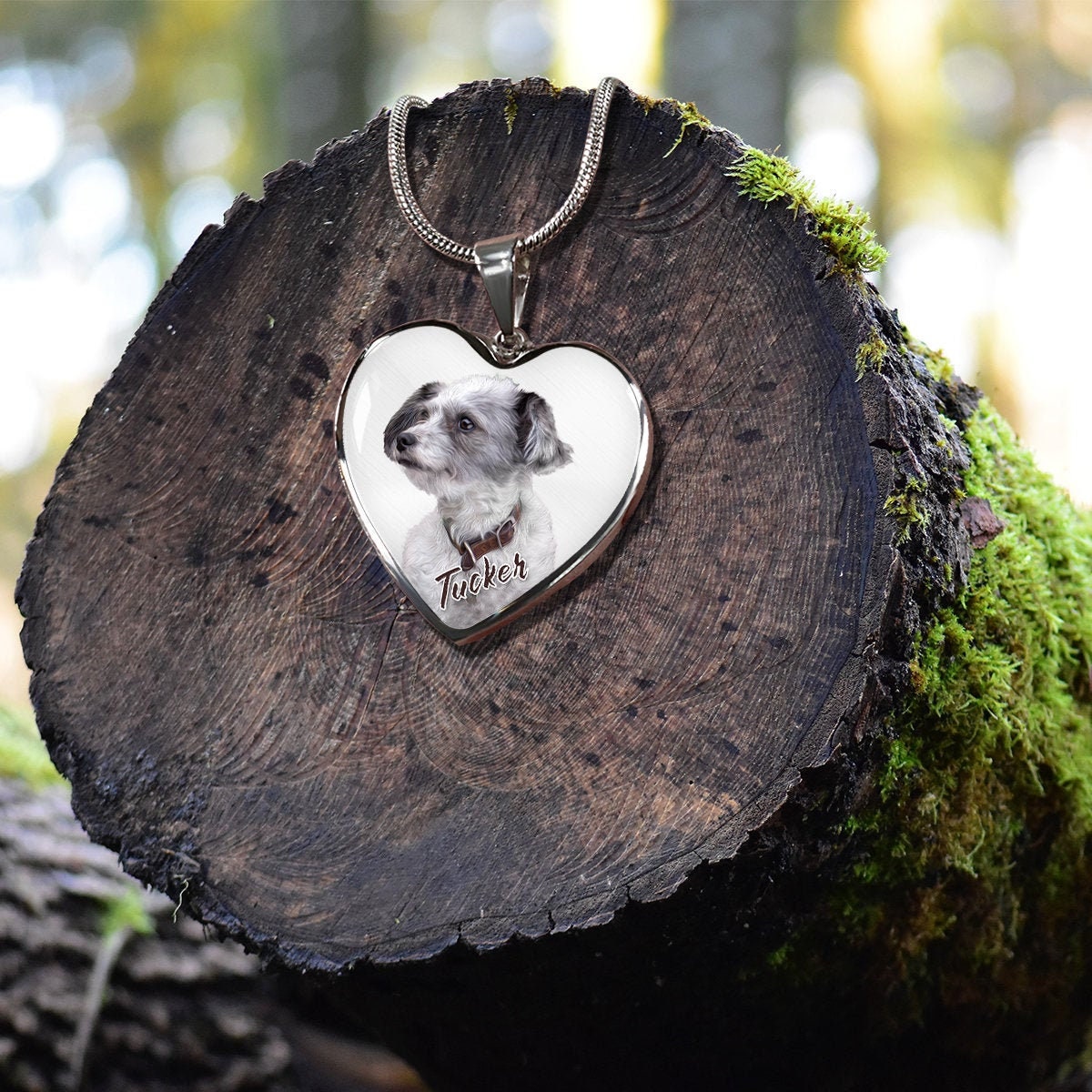 Dog necklace from picture best sale