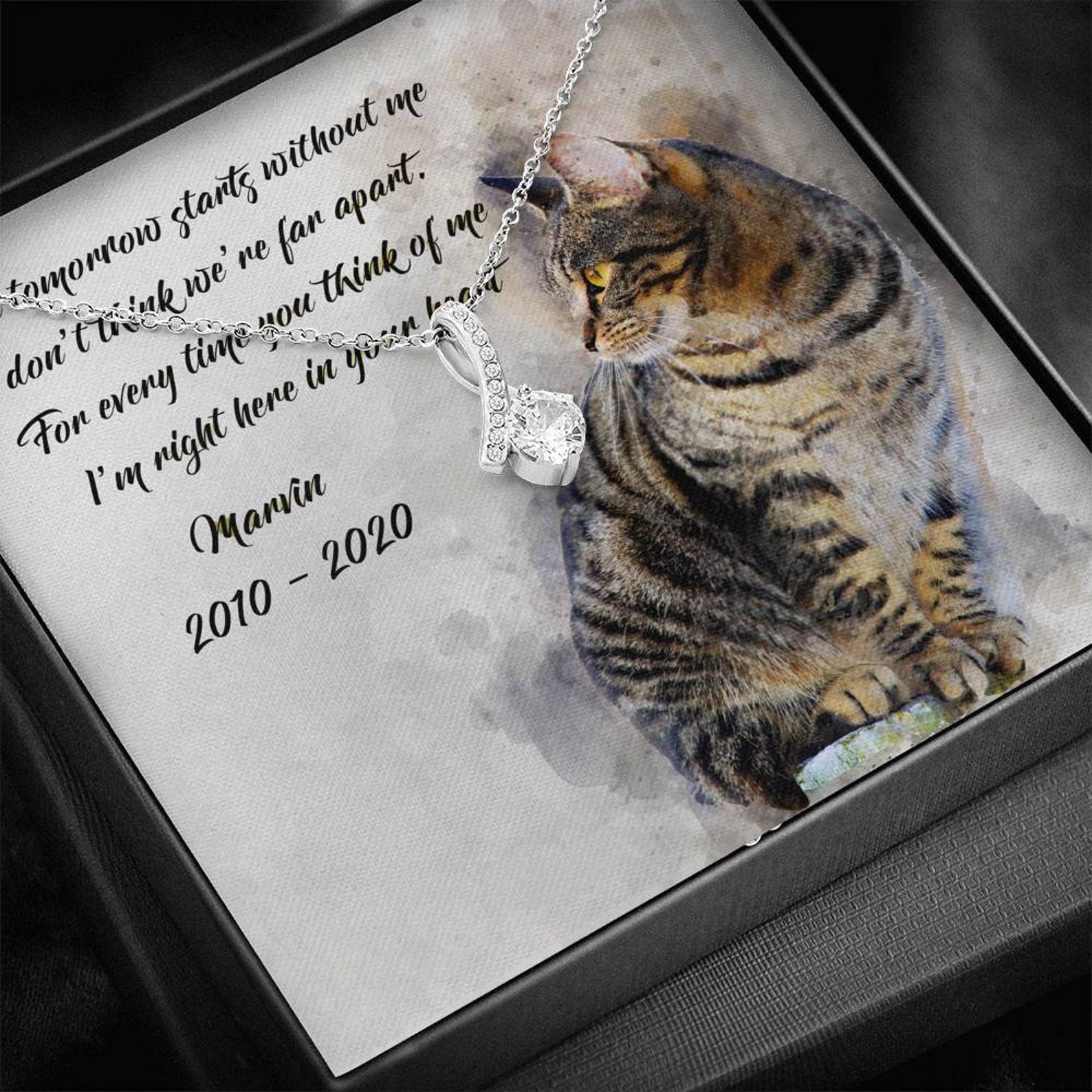 Cat Memorial Gift Bereavement Gift Pet Loss Necklace Etsy