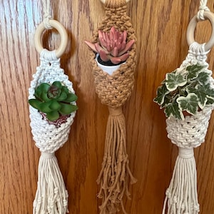 Pode incluir: Três suportes de plantas em macramé com anéis e borlas de madeira. Cada um contém uma pequena planta em vaso: uma suculenta verde, uma suculenta rosa e hera verde e branca. Os suportes são em tons de bege e castanho.