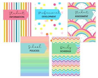 May include: Five colorful binders with labels: "Student Information," "Professional Development," "Student Assessment," "School Policies," and "Daily Schedule." Each binder has a unique pattern, including stripes, polka dots, rainbows, and chevrons.