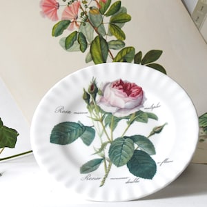 Roy kirkham plate - Etsy 日本