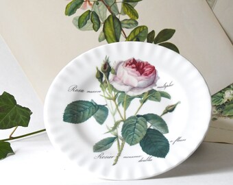 Puede incluir: Un plato de cerámica blanca con borde festoneado que presenta una ilustración botánica de una rosa rosa con hojas y capullos verdes. El texto "Rosa muscosa multiplex" y "Rosier mousseux doubles a fleurs" está impreso en negro sobre el plato.