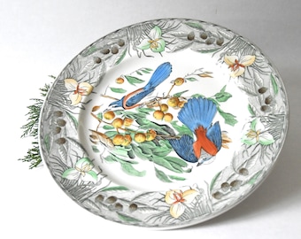 Oiseaux d'Amérique de John James Audubon. Assiette à dîner Adams antique des années 40. Geai de Floride. Cadeau pour amoureux des oiseaux