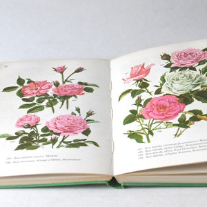 Guide du livre de fleurs vintage des années 1960. Livre nature scandinave. Belles illustrations en couleurs. Cadeau pour artiste - Cadeau créatif
