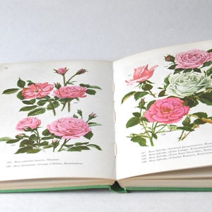 Vintage Flower book 1960s guide. Scandinavian Nature Book. Lovely color illustrations. Gift for artist - Creative gift