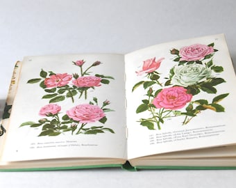 Vintage Flower book 1960s guide. Scandinavian Nature Book. Lovely color illustrations. Gift for artist - Creative gift