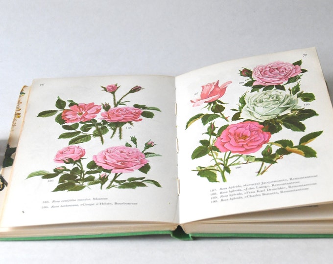 Vintage Scandinavian Flower Book – 1960s Botanical Illustration Guide