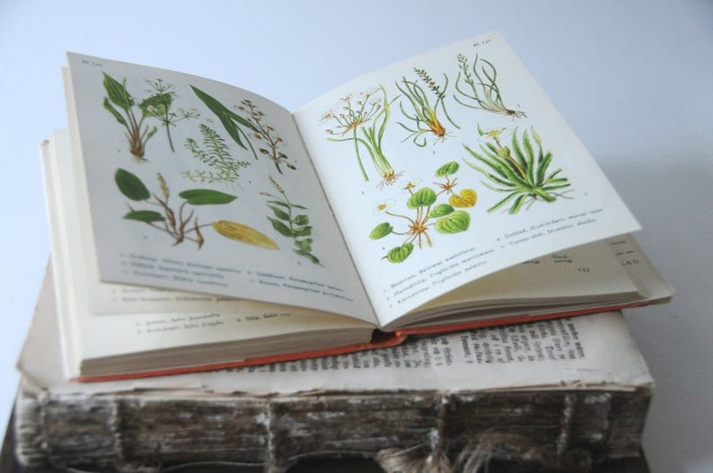 120 枚以上のカラーイラストが入ったヴィンテージ植物図鑑、コラージュ