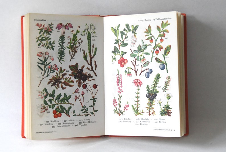 Vintage Flower book 1960s guide. Scandinavian Nature Book. Lovely color illustrations. Gift for artist Creative gift image 3