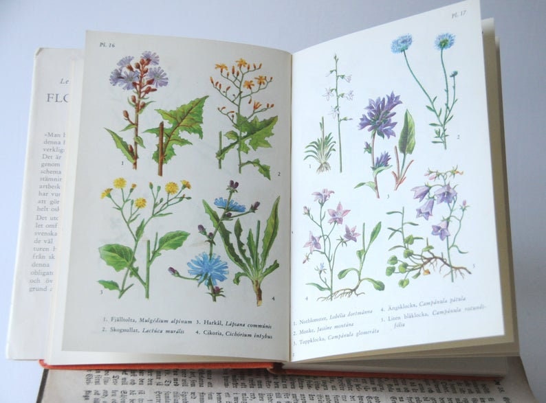 ❤️セール822B②チェコビンテージ植物図鑑　洋書　ジャンクジャーナル　2冊セット 120 枚以上のカラーイラストが入ったヴィンテージ植物図鑑、コラージュ