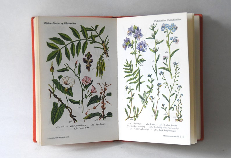 Vintage Flower book 1960s guide. Scandinavian Nature Book. Lovely color illustrations. Gift for artist Creative gift image 2