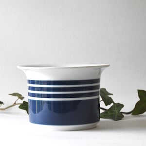 Puede incluir: Una maceta de cerámica blanca con base azul marino y tres rayas horizontales blancas. El borde superior es blanco. Hojas y tallos verdes en el fondo. Esta maceta decorativa es adecuada para uso en interiores o exteriores.