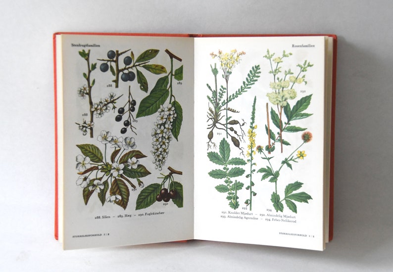 Vintage Flower book 1960s guide. Scandinavian Nature Book. Lovely color illustrations. Gift for artist Creative gift image 4