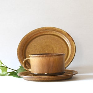 May include: A brown ceramic teacup and saucer set. The cup and saucer have a speckled glaze.