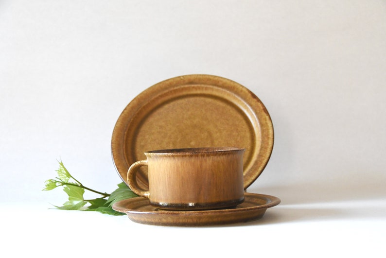 May include: A brown ceramic teacup and saucer set. The cup and saucer have a speckled glaze.