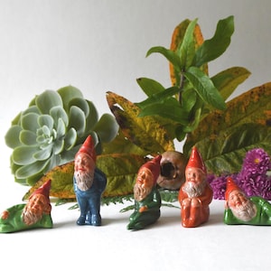 May include: A collection of ceramic garden gnomes with red hats and white beards. The gnomes are in various poses, with green, blue, and orange clothing. The gnomes are arranged with green foliage, a succulent, and purple flowers.