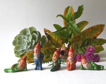 May include: A group of ceramic garden gnomes with red hats and white beards. The gnomes are in different poses, wearing green, blue, and orange outfits. The gnomes are displayed with green foliage, a succulent, and purple flowers.