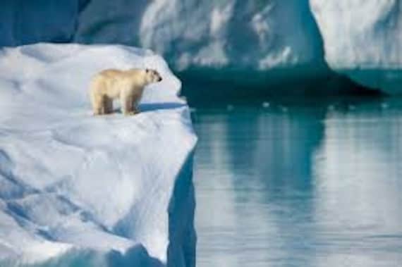 アラビア フィンランド ARCTICA ホワイトボウル。インケリ・レイヴォ