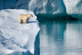 アラビア フィンランド ARCTICA ホワイトボウル。インケリ・レイヴォ