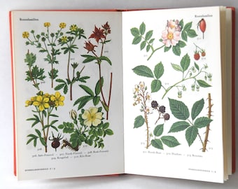 Vintage Flower book 1960s guide. Scandinavian Nature Book. Lovely color illustrations. Gift for artist - Creative gift