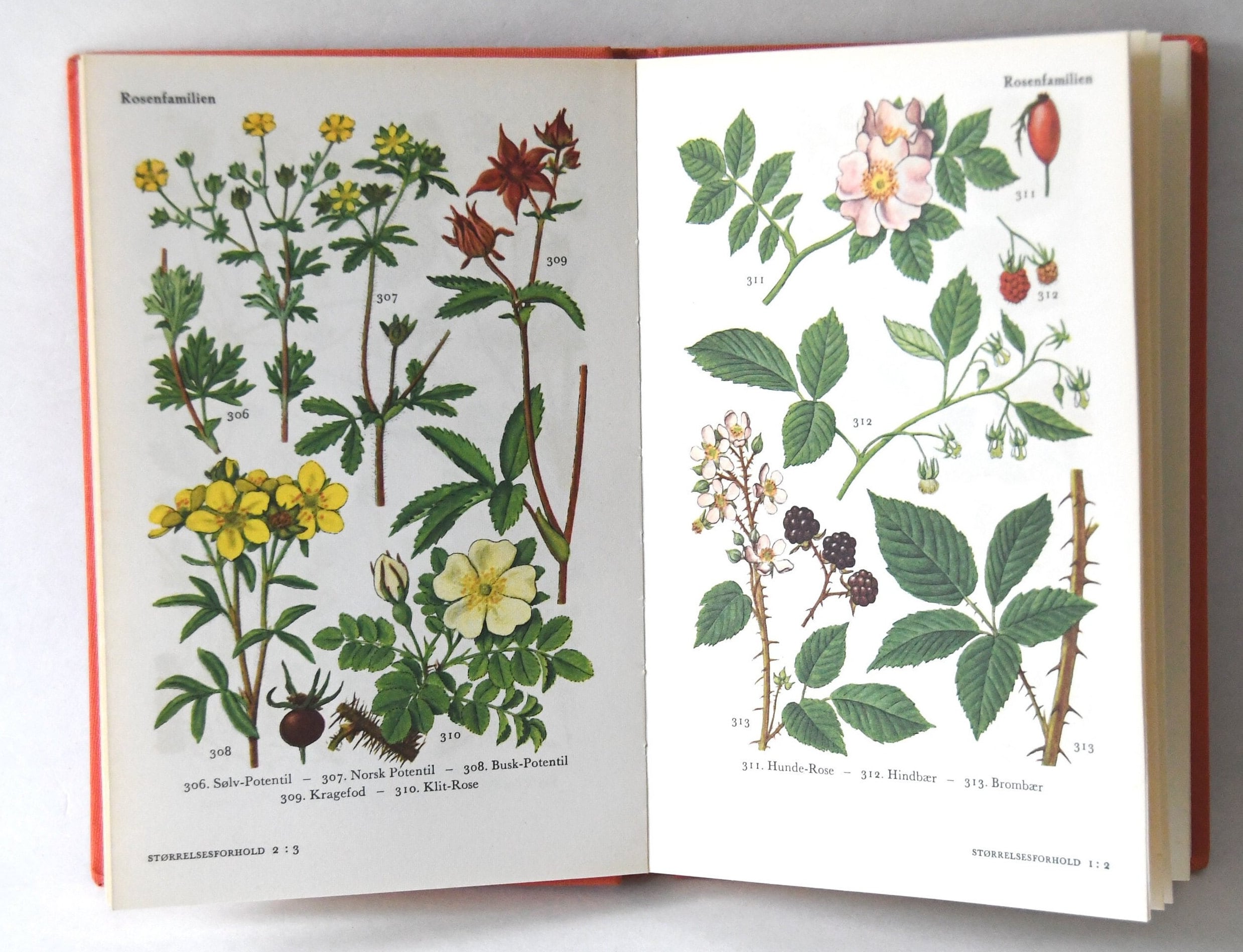 Vintage Flower Book 1960s Guide. Scandinavian Nature Book. Lovely