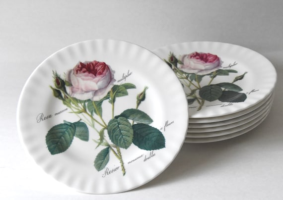 Roy Kirkham REDOUTÉ ROSES Plate. Rosa Muscosa Salad Plate With
