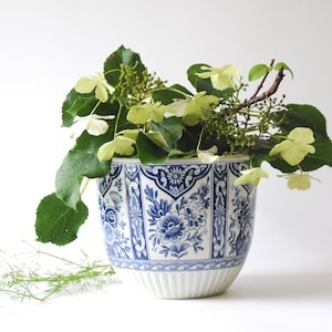 May include: A white ceramic planter with a blue and white floral pattern. The planter is filled with green leaves and white flowers.