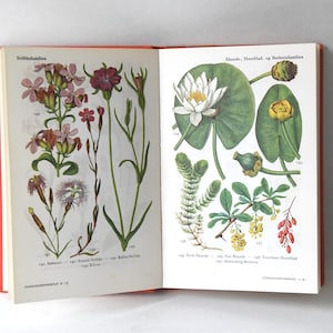 Vintage Flower book 1960s guide. Scandinavian Nature Book. Lovely color illustrations. Gift for artist Creative gift image 5