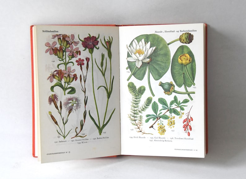 Vintage Flower book 1960s guide. Scandinavian Nature Book. Lovely color illustrations. Gift for artist Creative gift image 5