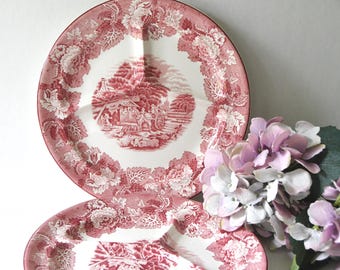 Twee borden Pink Woods Engelse landschapsgrillplaten Wood and Sons, shabby chic transferware