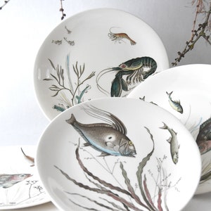 May include: A collection of white ceramic plates featuring detailed illustrations of marine life, including fish, shrimp, and seaweed. The plates have a vintage aesthetic, with the illustrations in shades of gray, blue, and green.