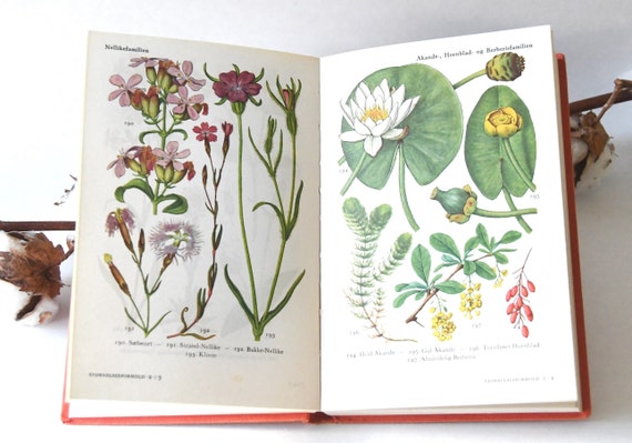 Vintage Flower Book 1960s Guide, Scandinavian Nature Book, Lovely