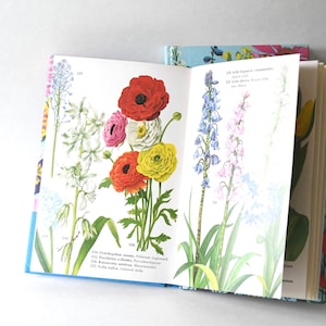 Guía de libros vintage de flores de los años 70. Dos libros de naturaleza escandinava. Preciosas ilustraciones a color. Regalo para artistas. Regalo creativo.